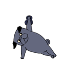 Crossfit Pug（個別スタンプ：21）