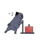 Crossfit Pug（個別スタンプ：24）