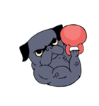 Crossfit Pug（個別スタンプ：25）