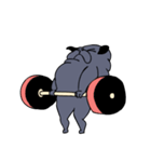Crossfit Pug（個別スタンプ：27）