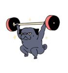 Crossfit Pug（個別スタンプ：28）