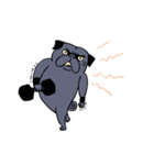 Crossfit Pug（個別スタンプ：30）