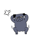 Crossfit Pug（個別スタンプ：31）