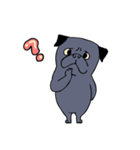 Crossfit Pug（個別スタンプ：34）