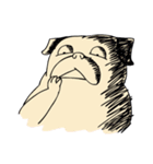 Crossfit Pug（個別スタンプ：37）