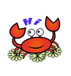 Coco Crab（個別スタンプ：1）
