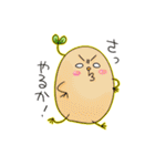 ミセス サッカロ（個別スタンプ：27）