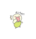 カメのみるく（個別スタンプ：25）