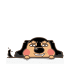 Cute Dachshund_Nunu（個別スタンプ：26）