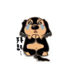 Cute Dachshund_Nunu（個別スタンプ：34）