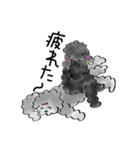 スタンダードプードルの日常会話スタンプ（個別スタンプ：23）