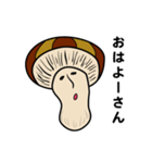 関西弁しゃべりたい茸（だけ）やねん（個別スタンプ：39）