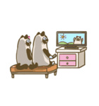 King-Kyo meow himalayan cat ＆ Monchi（個別スタンプ：12）