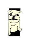 全力ペキニーズ（個別スタンプ：4）
