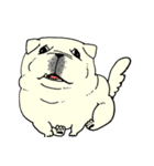 全力ペキニーズ（個別スタンプ：5）