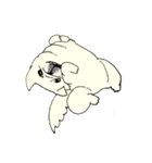 全力ペキニーズ（個別スタンプ：6）