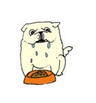 全力ペキニーズ（個別スタンプ：7）