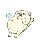 全力ペキニーズ（個別スタンプ：9）