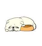 全力ペキニーズ（個別スタンプ：15）