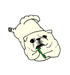 全力ペキニーズ（個別スタンプ：17）
