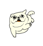全力ペキニーズ（個別スタンプ：18）