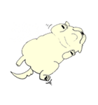 全力ペキニーズ（個別スタンプ：21）