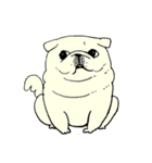 全力ペキニーズ（個別スタンプ：25）