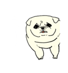 全力ペキニーズ（個別スタンプ：26）
