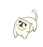 全力ペキニーズ（個別スタンプ：29）