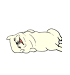 全力ペキニーズ（個別スタンプ：31）