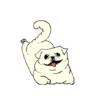 全力ペキニーズ（個別スタンプ：32）