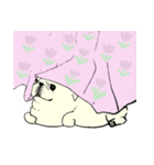 全力ペキニーズ（個別スタンプ：33）