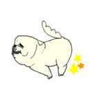 全力ペキニーズ（個別スタンプ：38）