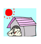全力ペキニーズ（個別スタンプ：39）