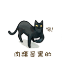 Meow meow Woo  2（個別スタンプ：30）