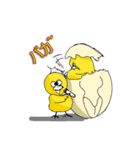 aho chicken（個別スタンプ：19）