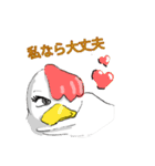 aho chicken（個別スタンプ：20）