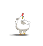 aho chicken（個別スタンプ：35）