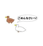 小さいアヒル（個別スタンプ：13）