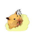 はむはむみかん（個別スタンプ：1）