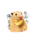 はむはむみかん（個別スタンプ：4）