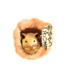 はむはむみかん（個別スタンプ：11）
