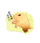 はむはむみかん（個別スタンプ：21）