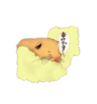 はむはむみかん（個別スタンプ：22）