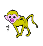 monkey 40（個別スタンプ：17）