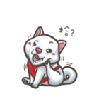 Shiba Inu-Happy（個別スタンプ：4）