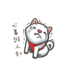 Shiba Inu-Happy（個別スタンプ：12）