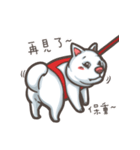 Shiba Inu-Happy（個別スタンプ：27）