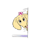 Lele＆Lulu（個別スタンプ：16）