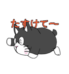 はちわれはっちゃんのスタンプ（個別スタンプ：29）